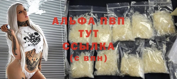 гашик Инсар