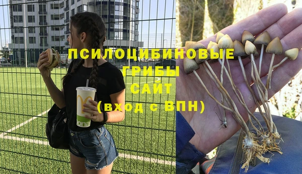 кокаин премиум Каменка