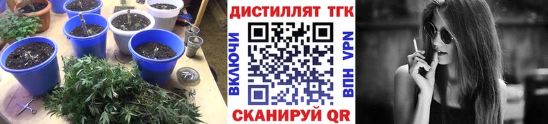 KRAKEN как войти  Малая Вишера  Дистиллят ТГК Wax  хочу наркоту 