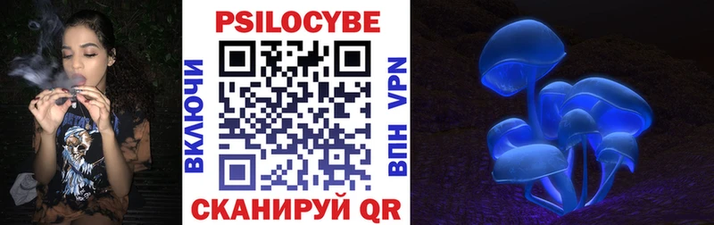 где продают наркотики это какой сайт Псилоцибиновые грибы Psilocybine cubensis Малая Вишера